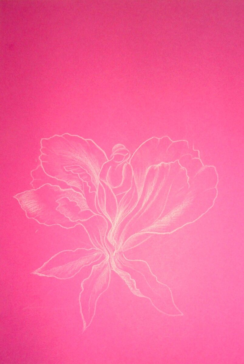 Christine Schrader NatuerlichNah 1Ehe CS Christine Schrader - NatuerlichNah - 1Fest verwurzelt_CS