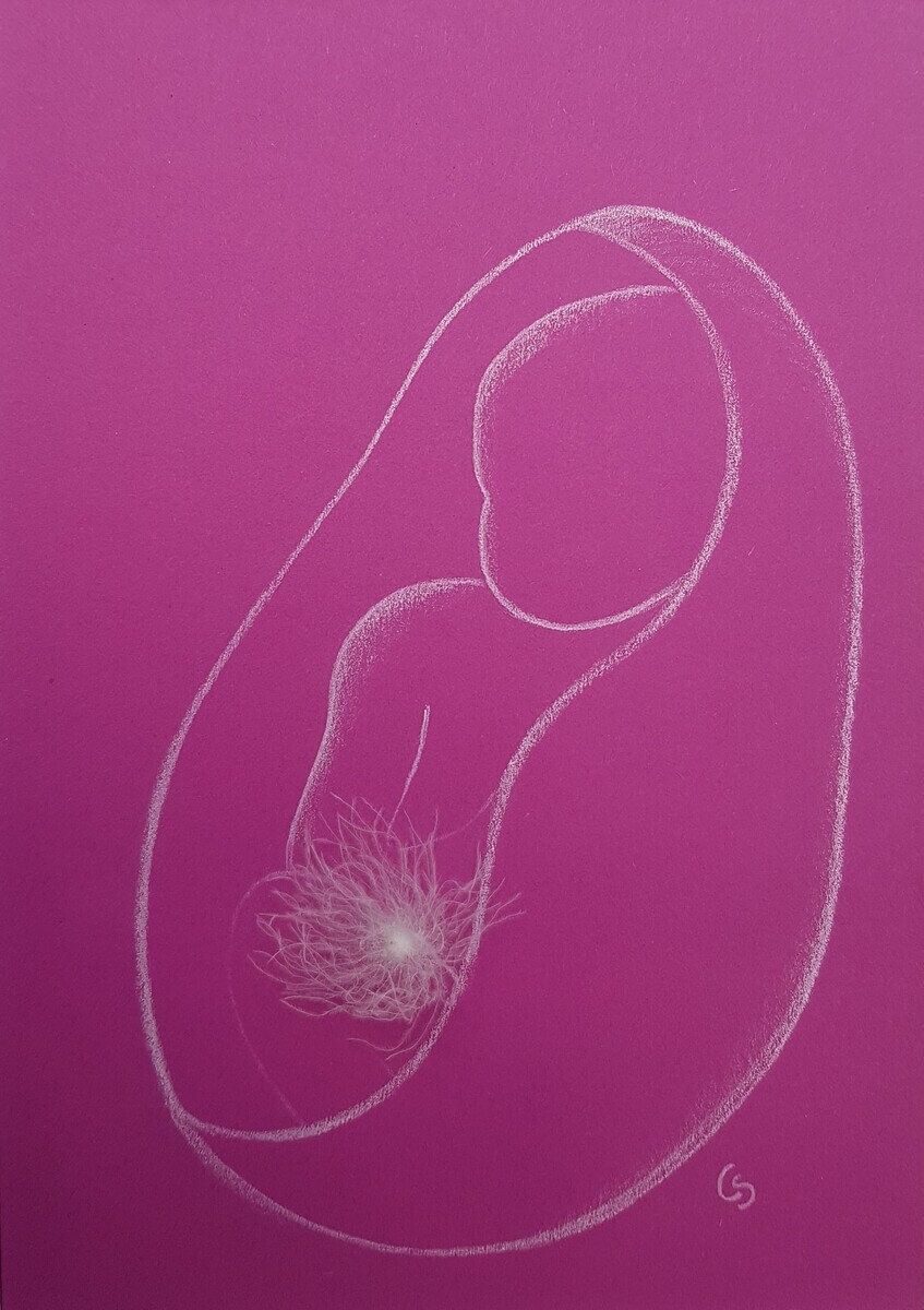 Christine Schrader NatuerlichNah 1I CS Christine Schrader - NatuerlichNah - 1Fest verwurzelt_CS