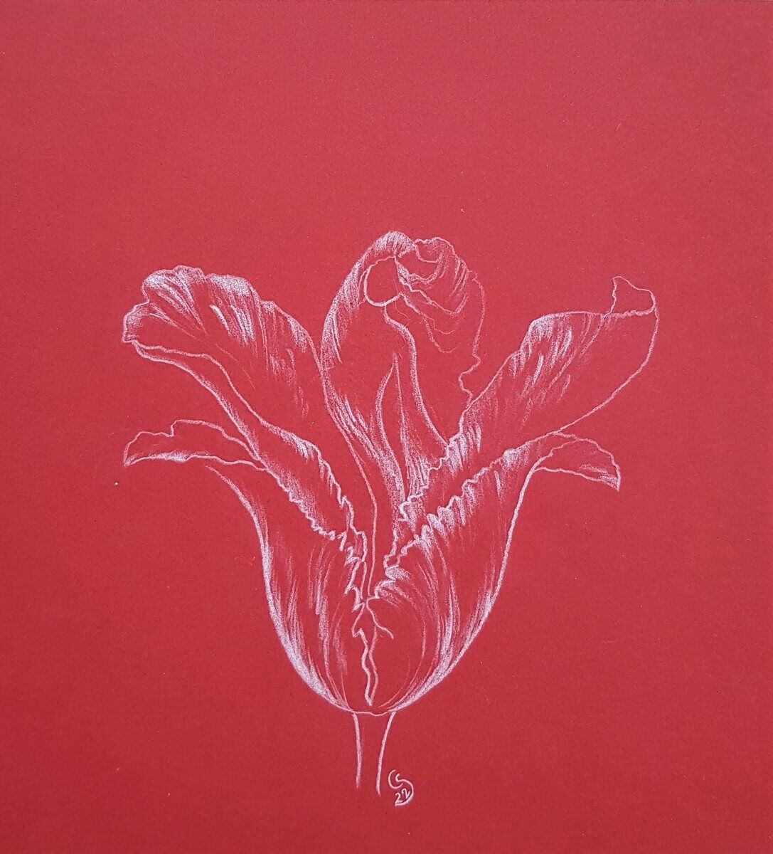 Christine Schrader NatuerlichNah 2Entfaltete Schoenheit CS Christine Schrader - NatuerlichNah - 1Fest verwurzelt_CS