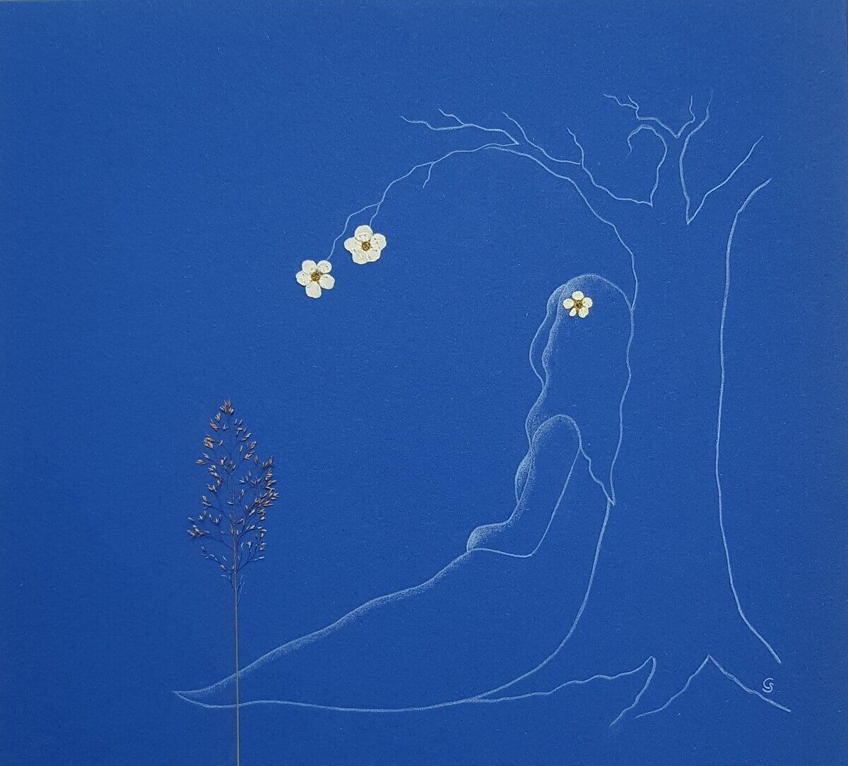 Christine Schrader NatuerlichNah 2Psalm37.7 CS Christine Schrader - NatuerlichNah - 1Fest verwurzelt_CS