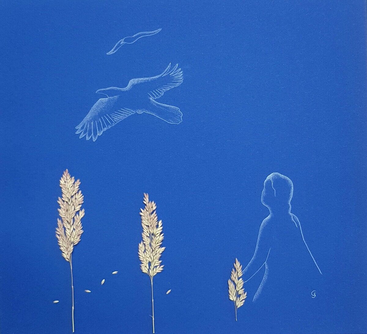 Christine Schrader NatuerlichNah 7Matthaeus6.26 CS Christine Schrader - NatuerlichNah - 1Fest verwurzelt_CS