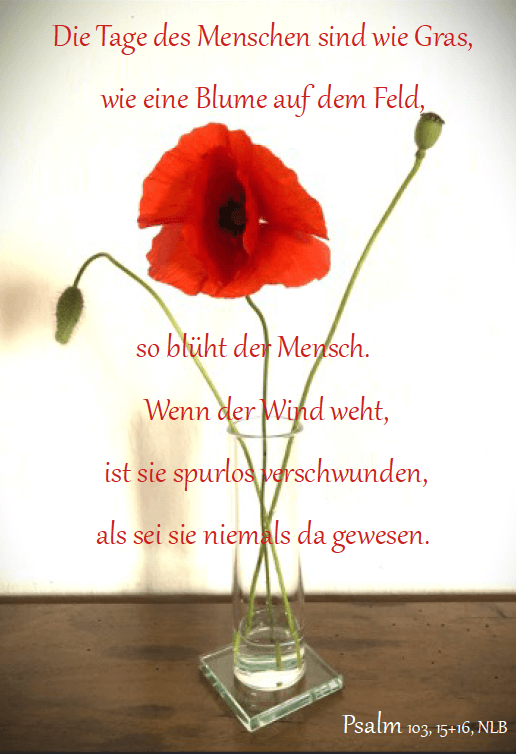 Christine Schrader NatuerlichNah 1Psalm 103 CS