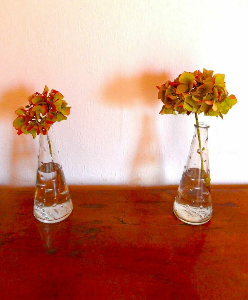 Christine Schrader NatuerlichNah 3.1Distanz CS e1731086348859