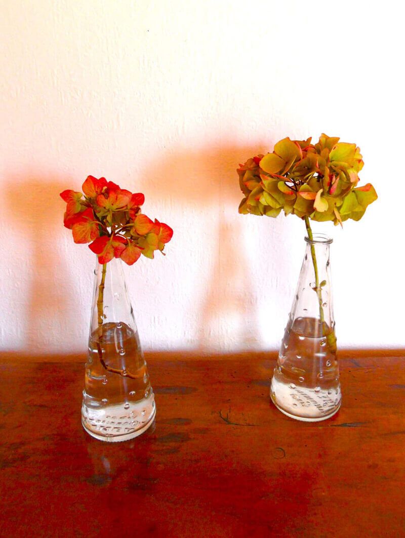 Christine Schrader NatuerlichNah 3.2Annaeherung CS