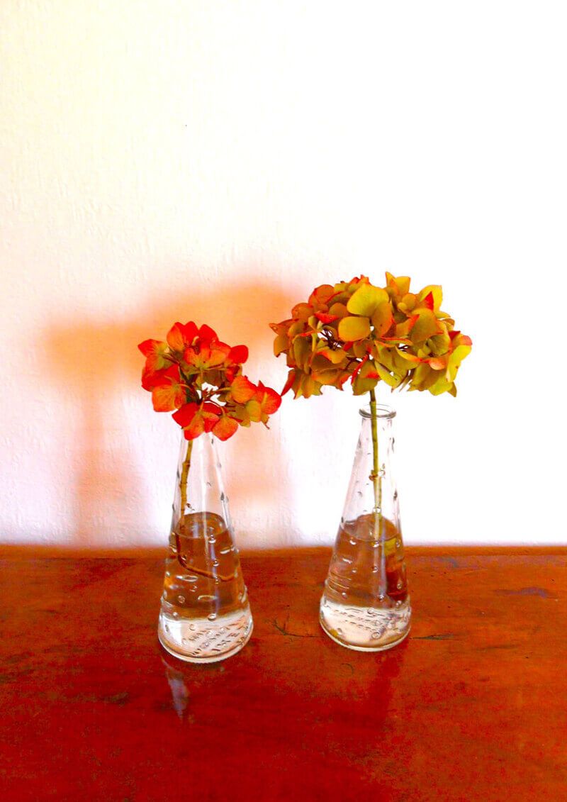 Christine Schrader NatuerlichNah 3.2Zuwendung CS