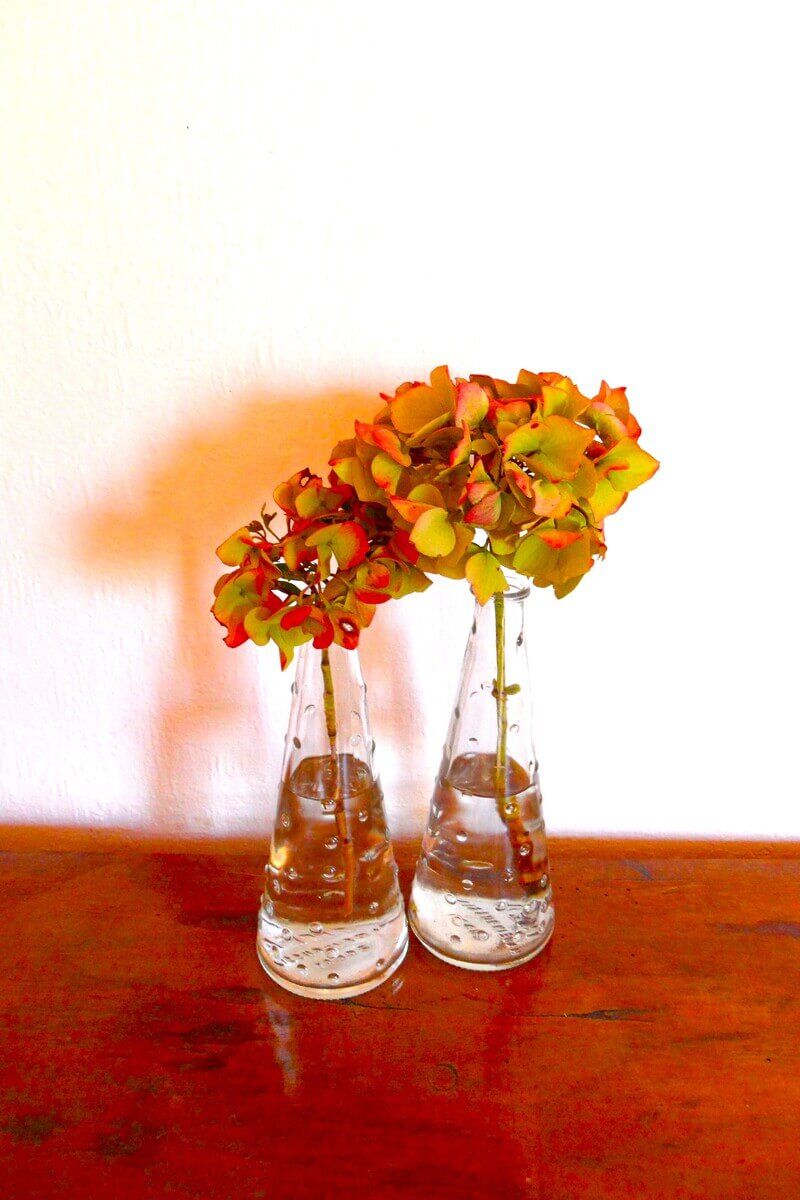 Christine Schrader NatuerlichNah 3.4Versoehnung CS